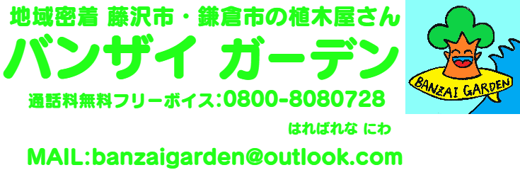 タイトルロゴ