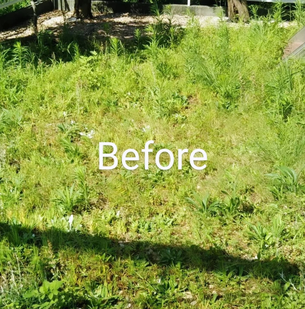 藤沢市亀井野 砂利敷き バンザイガーデン施工例 施工前