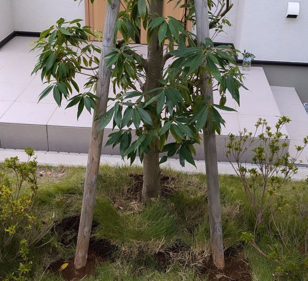 藤沢市亀井野 砂利敷き バンザイガーデン施工例 施工後