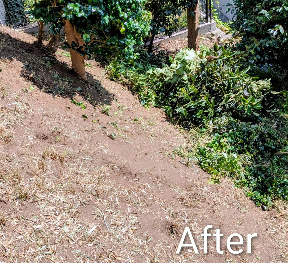 藤沢市柄沢 斜面の草刈り バンザイガーデン施工例 施工後